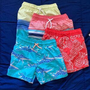 Boys Swimming Trucks Bundle Osh Kosh B”gosh Size 6